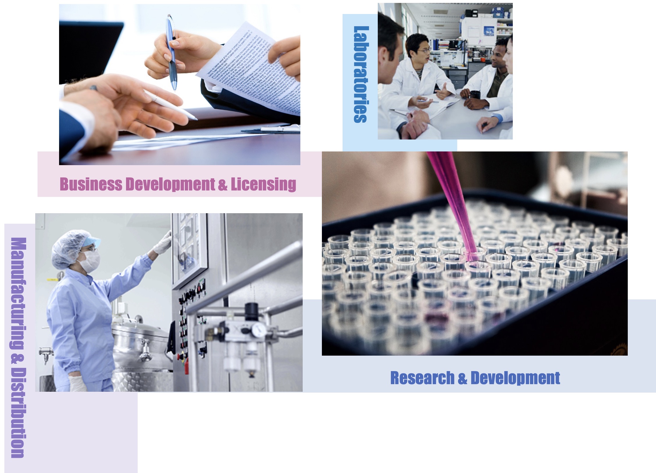 Areas of expertise