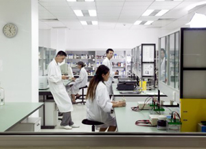Pharmaceutical researchers working in laboratory